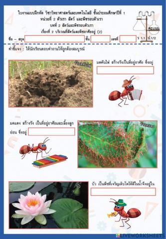 ชีวิตสัตว์