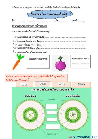 วิทยาศาสตร์ ม.1