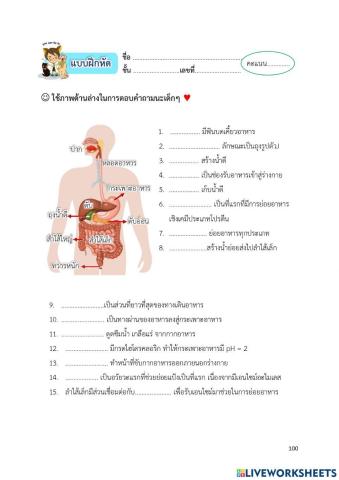 ใบงาน เรื่อง ระบบย่อยอาหาร