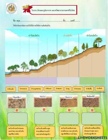 ลักษณะภูมิอากาศ และทรัพยากรธรรมชาติในไทย