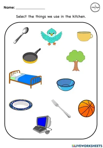 Things in the Kitchen