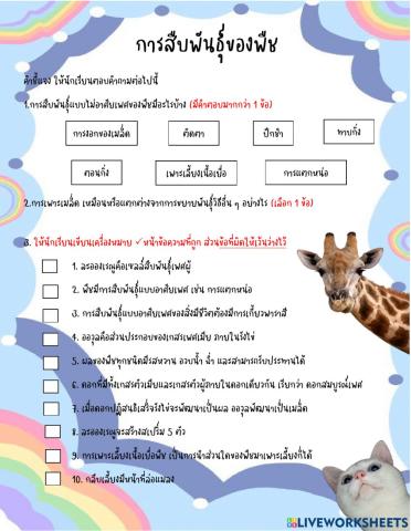 การสืบพันธุ์ของพืช