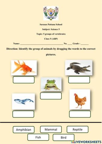 Animal groups