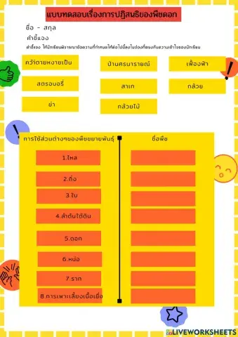 แบบฝึกกิจกรรมการขยายพันธุ์พืช