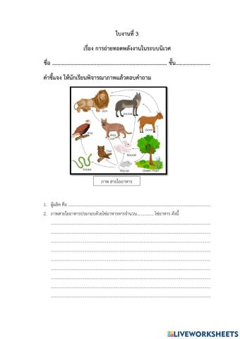 ห่วงโซ่อาหาร