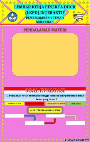 Organ Peredaran Darah pada Manusia dan Fungsinya