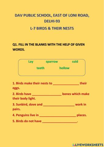 L-7 Birds & Their Nests