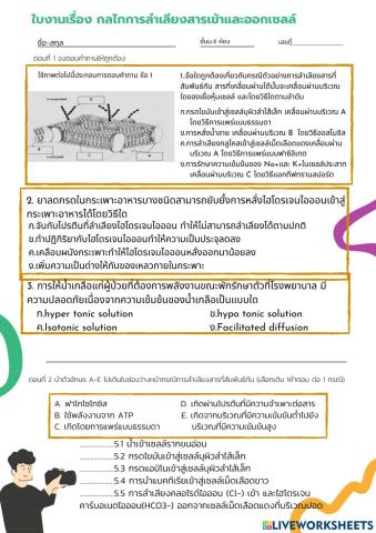 ใบงานการลำเลียงสารผ่านเยื่อหุ้มเซลล์
