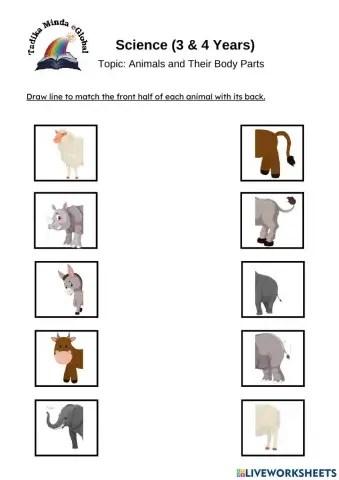 3 & 4 Years: Science (Animals Body Parts)