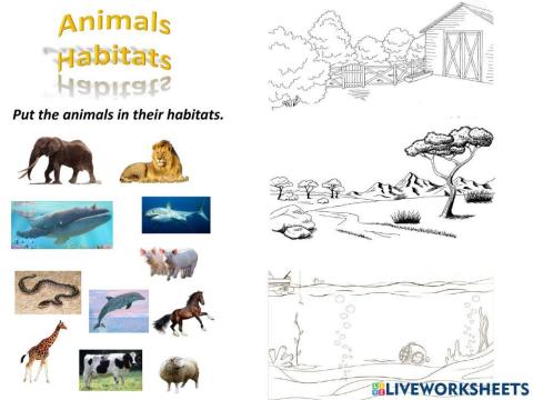 Animals Habitats (Farm, Savannah, Sea)