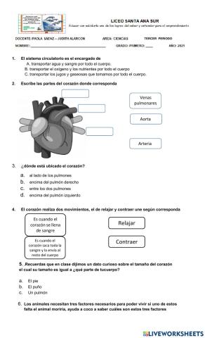 Bimestral primero III