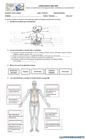 Bimestral tercero III