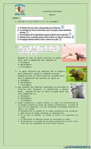 Evaluación de naturales