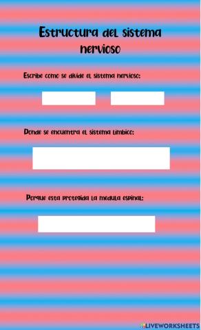 Estructura del sistema nervioso