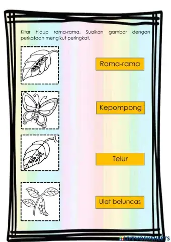 Kuiz Kitar Hidup Rama-rama