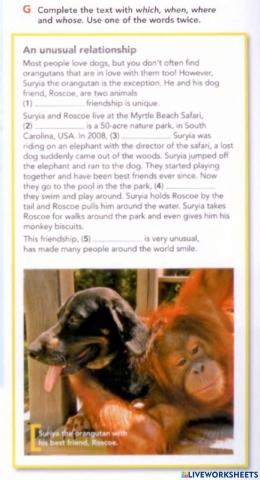 Close Up page 47 Grammar (Relative Clause)