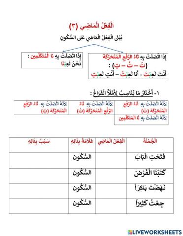 الفعل الماضي 3