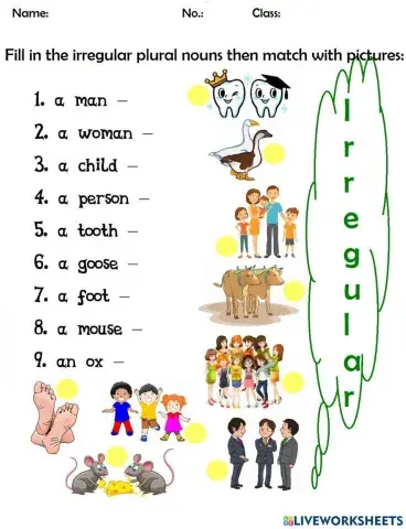 Irregular plural nouns
