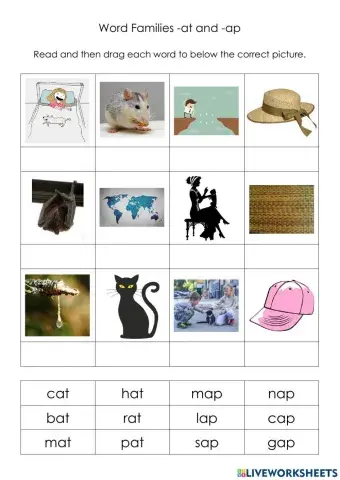 Word Families -at and -ap