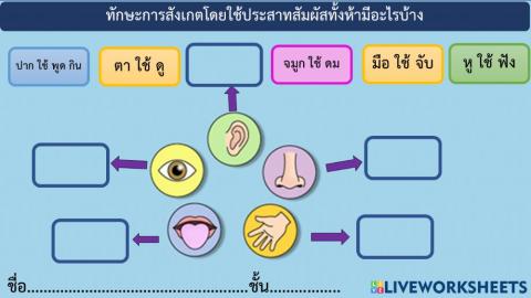 ทักษะการสังเกตโดยใช้ประสาทสัมผัสทั้งห้า
