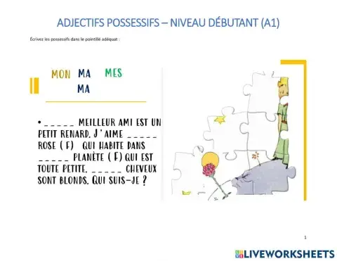 Adjectifs possessifs débutant (A1)