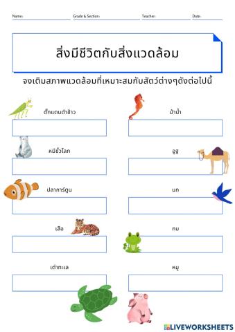 ความสัมพันธ์ของสิ่งมีชีวิตและสิ่งแวดล้อม