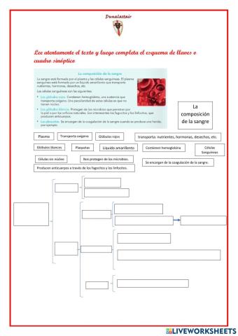 Esquema de llaves de la composición de la sangre