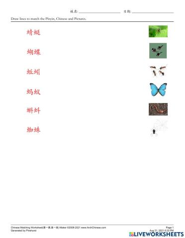 昆虫 Chinese words about insects