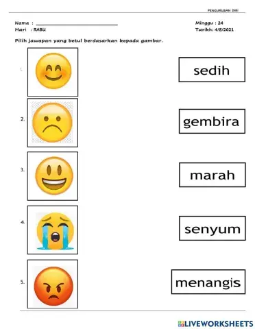 Pengurusan emosi