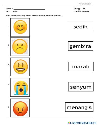 Pengurusan emosi
