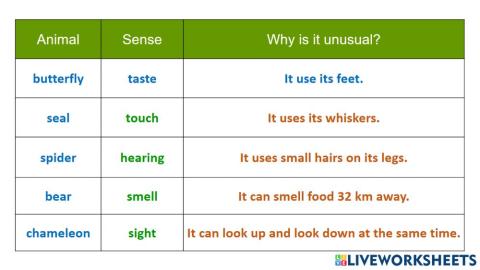 Reading: Amazing animal senses