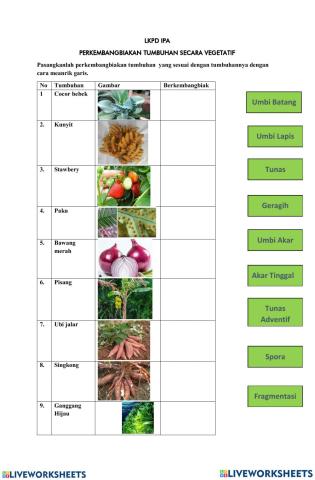 Perkembangbiakan Tumbuhan