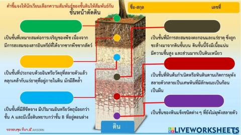 ชั้นของดิน