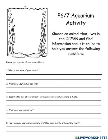 P6 Ocean Animal Research