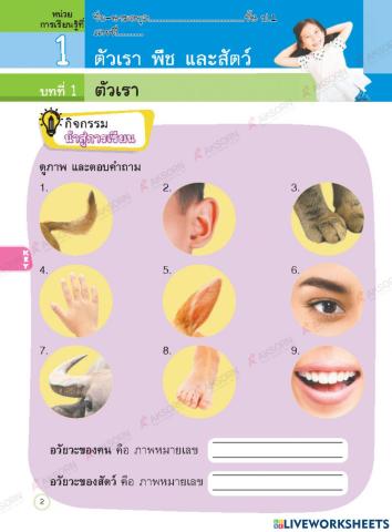 ใบงานที่ 1