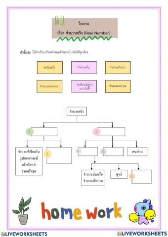 จำนวนจริง