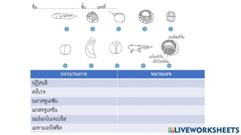 การเจริญเติบโตของกบ