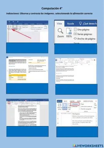 Tipos de vista en Word