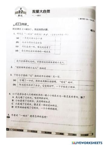 六年级华文作业单元十七