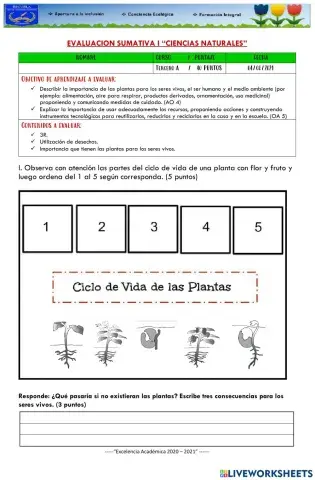 Evaluacion ciencias naturales