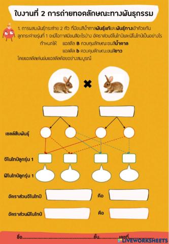 พันธุกรรม