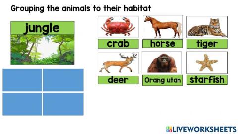 Animal habitat