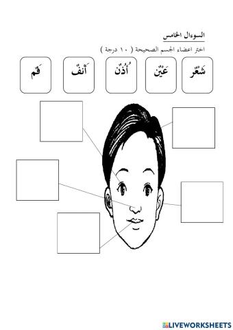 Latihan bahasa arab pra 6 tahun