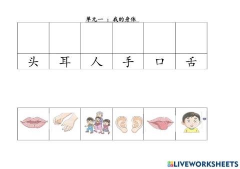 Chinese Unit 1 My Body
