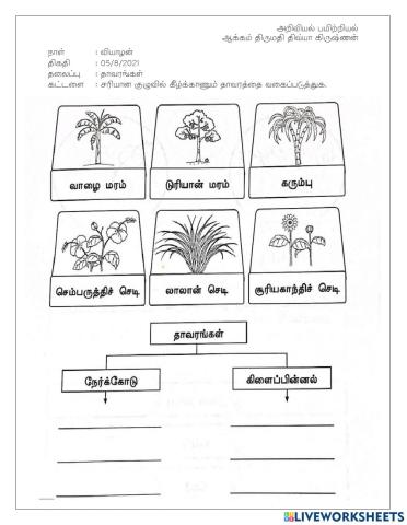 அறிவியல்