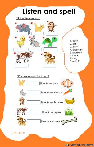 Animals and Their Food