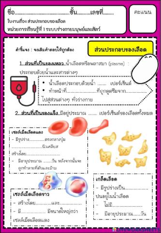 ส่วนประกอบของเลือด