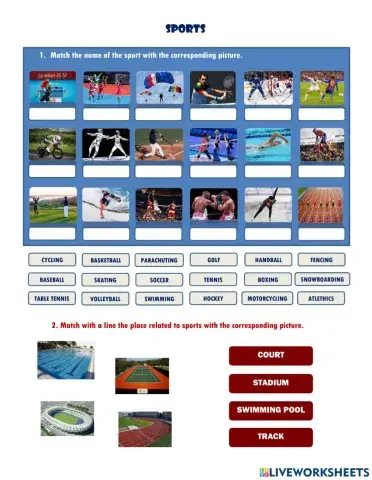 Vocabulary of sports