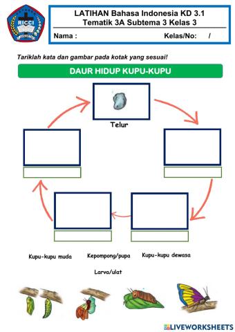 3.4 Daur Hidup Hewan Tematik 3A ST 1 dan 2