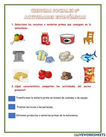 Actividades Económicas